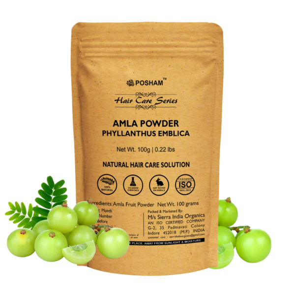 amla-powder-100-grams-ayurveda-indore